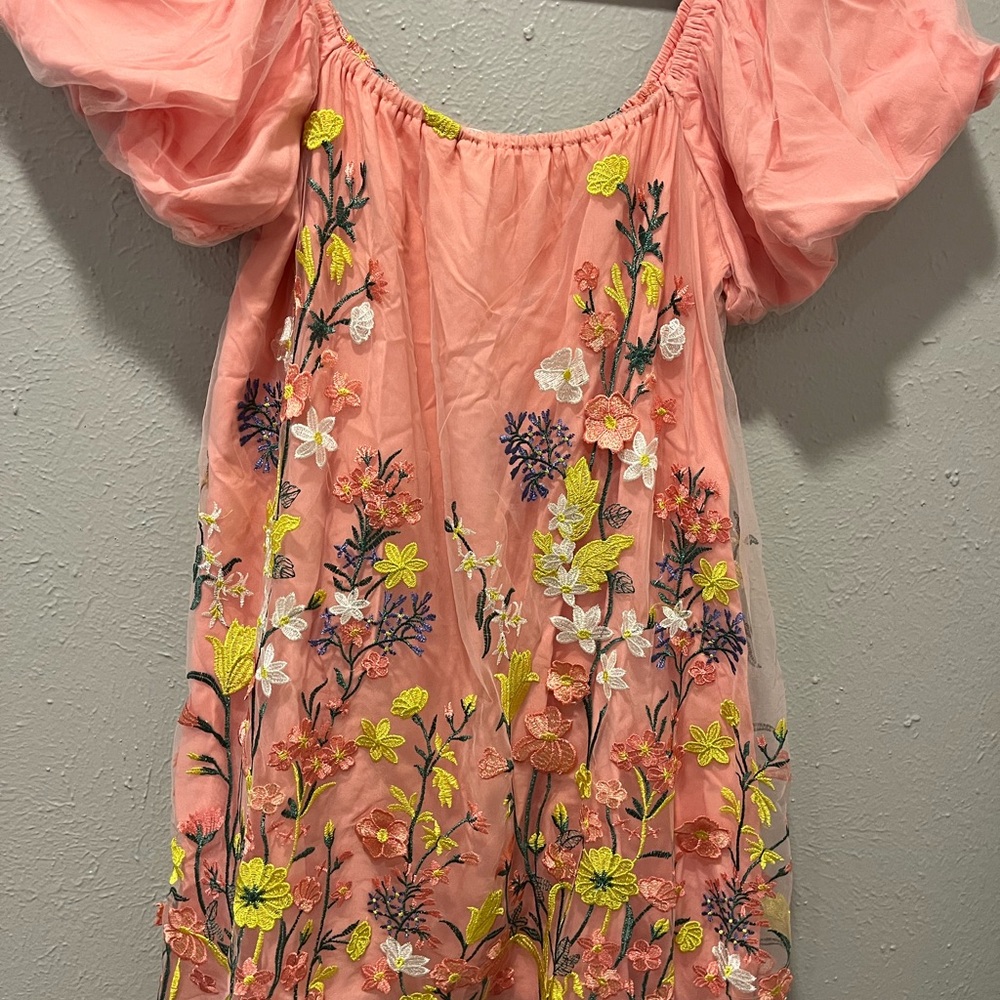 Floral Embroidered Mini Dress - Pink